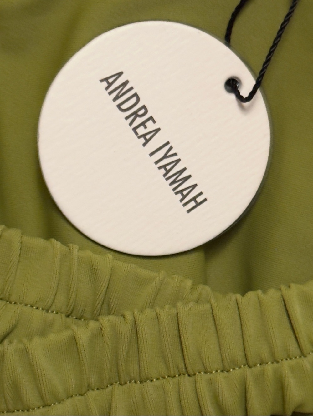 Andrea Iyamah Antii One Piece Swimsuit in Wasabi Green Size M NWT - Picture 3 of 10